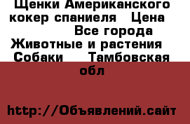 Щенки Американского кокер спаниеля › Цена ­ 15 000 - Все города Животные и растения » Собаки   . Тамбовская обл.